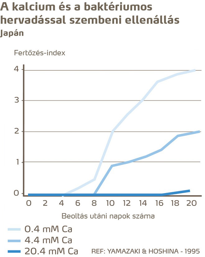 paradicsom egészség
