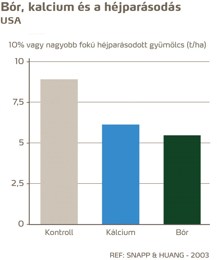 paradicsom egészség