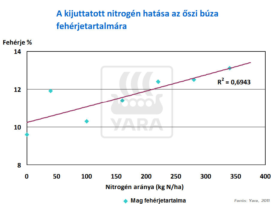 b&uacute;za minős&eacute;g