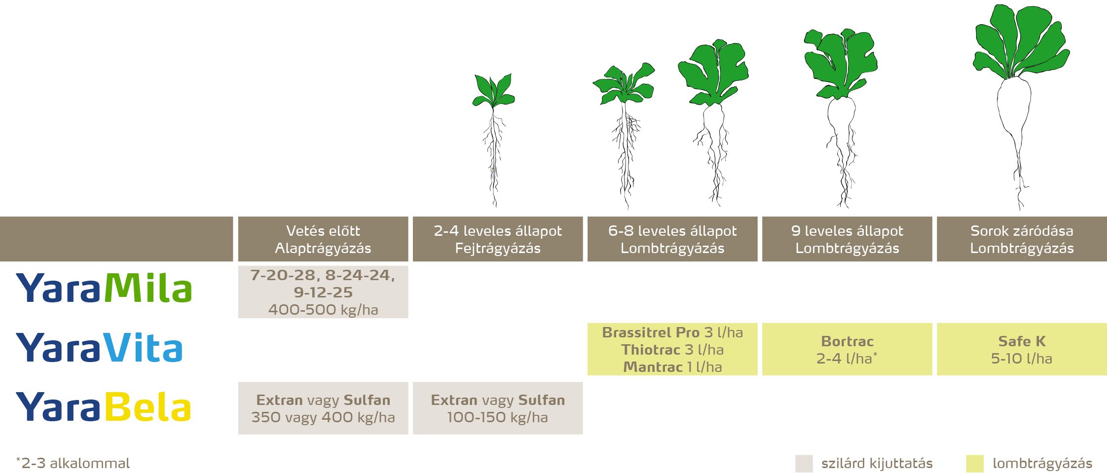 szantofoldi_2020_feno_Cukorr&eacute;pa copy.jpg