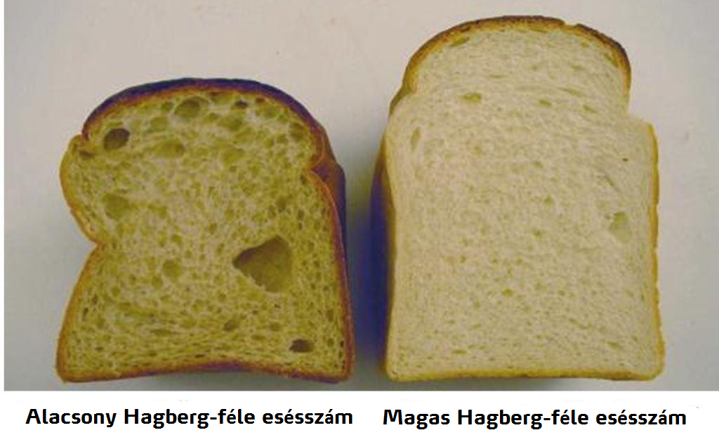 b&uacute;za minős&eacute;g