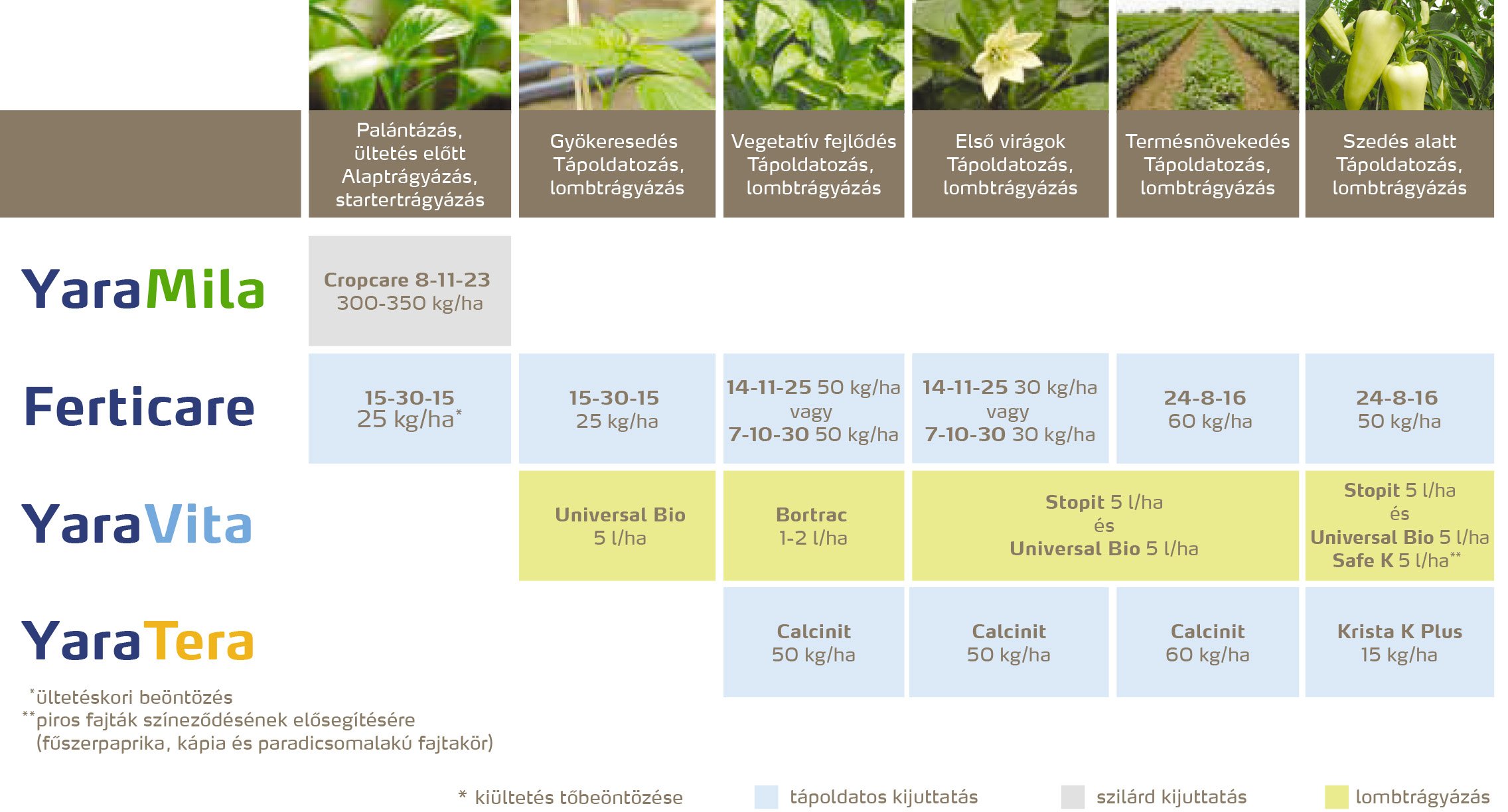 zoldseg_2020_feno_paprika copy.jpg