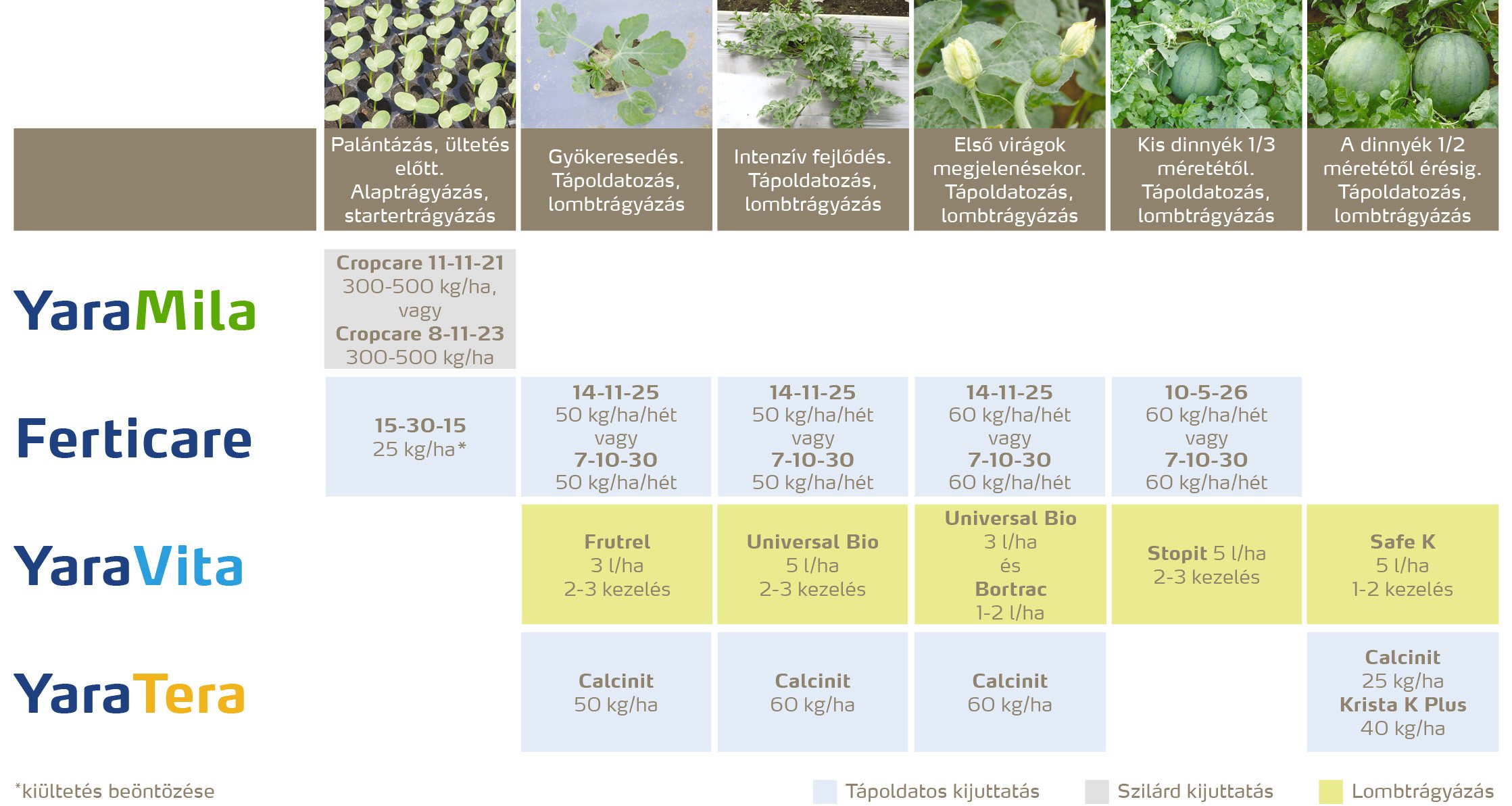 zoldseg_2020_feno_G&ouml;r&ouml;gdinnye copy.jpg