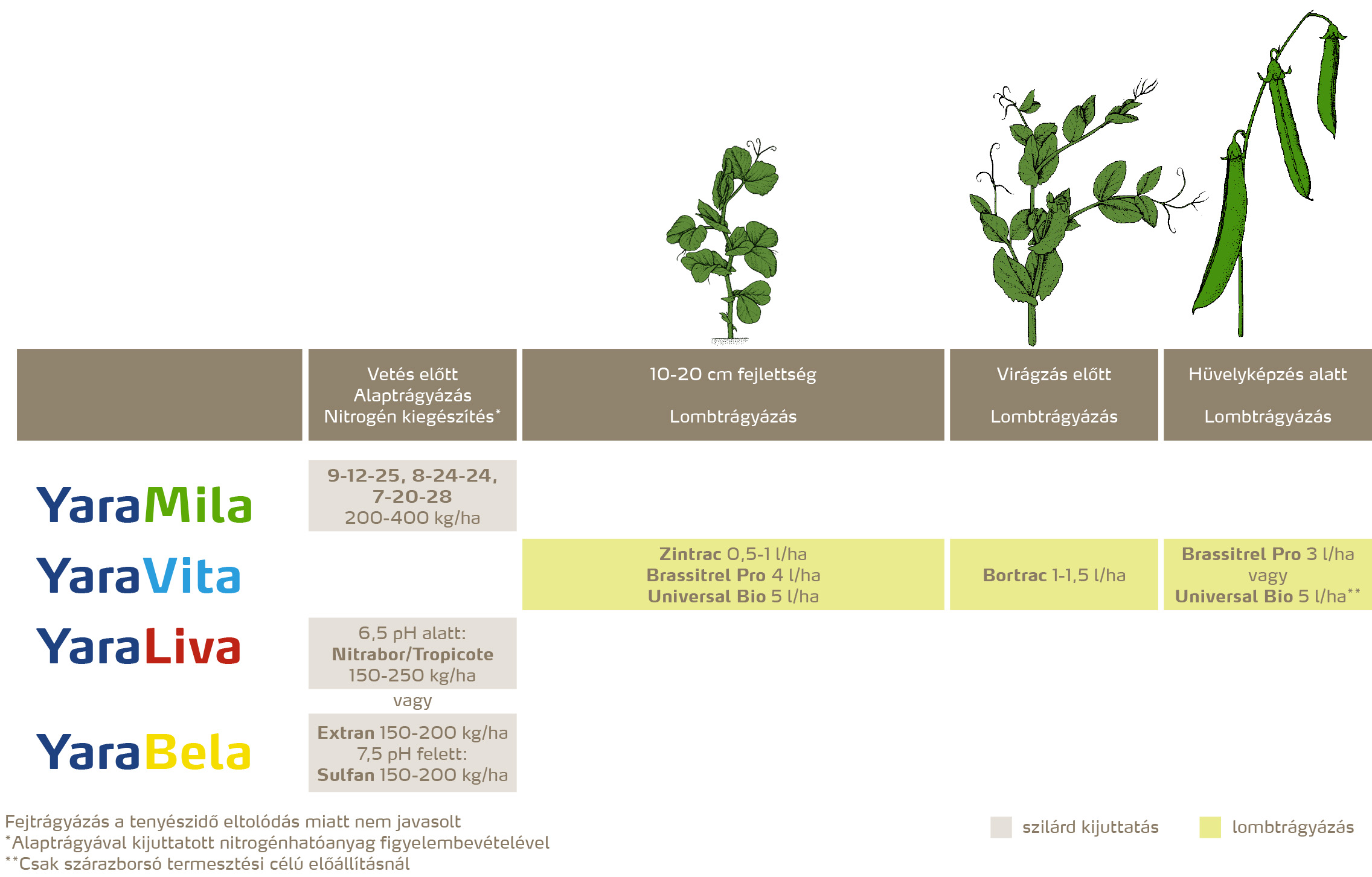 szantofoldi_2020_feno_Z&ouml;ldbors&oacute; copy.jpg