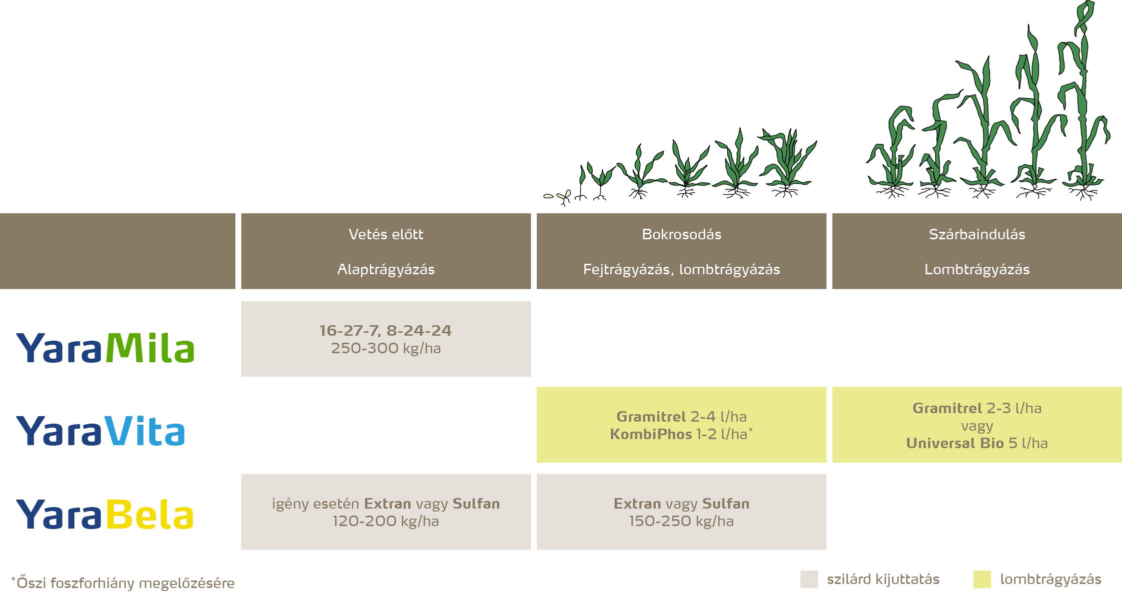 szantofoldi_2020_feno_Őszi &aacute;rpa copy.jpg