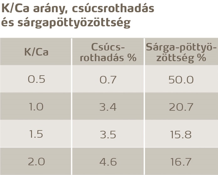 paradicsom egészség