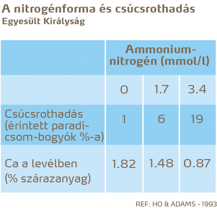 paradicsom egészség