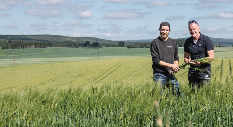 Megjelent a Yara magazin legújabb száma