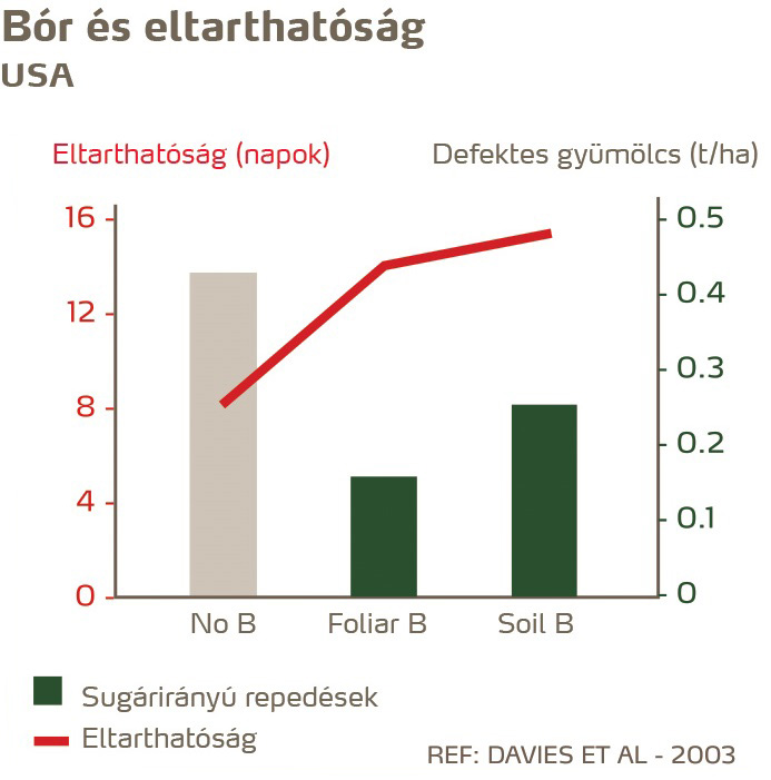 paradicsom egészség