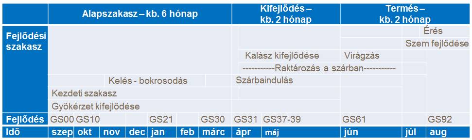 b&uacute;za t&eacute;nyek