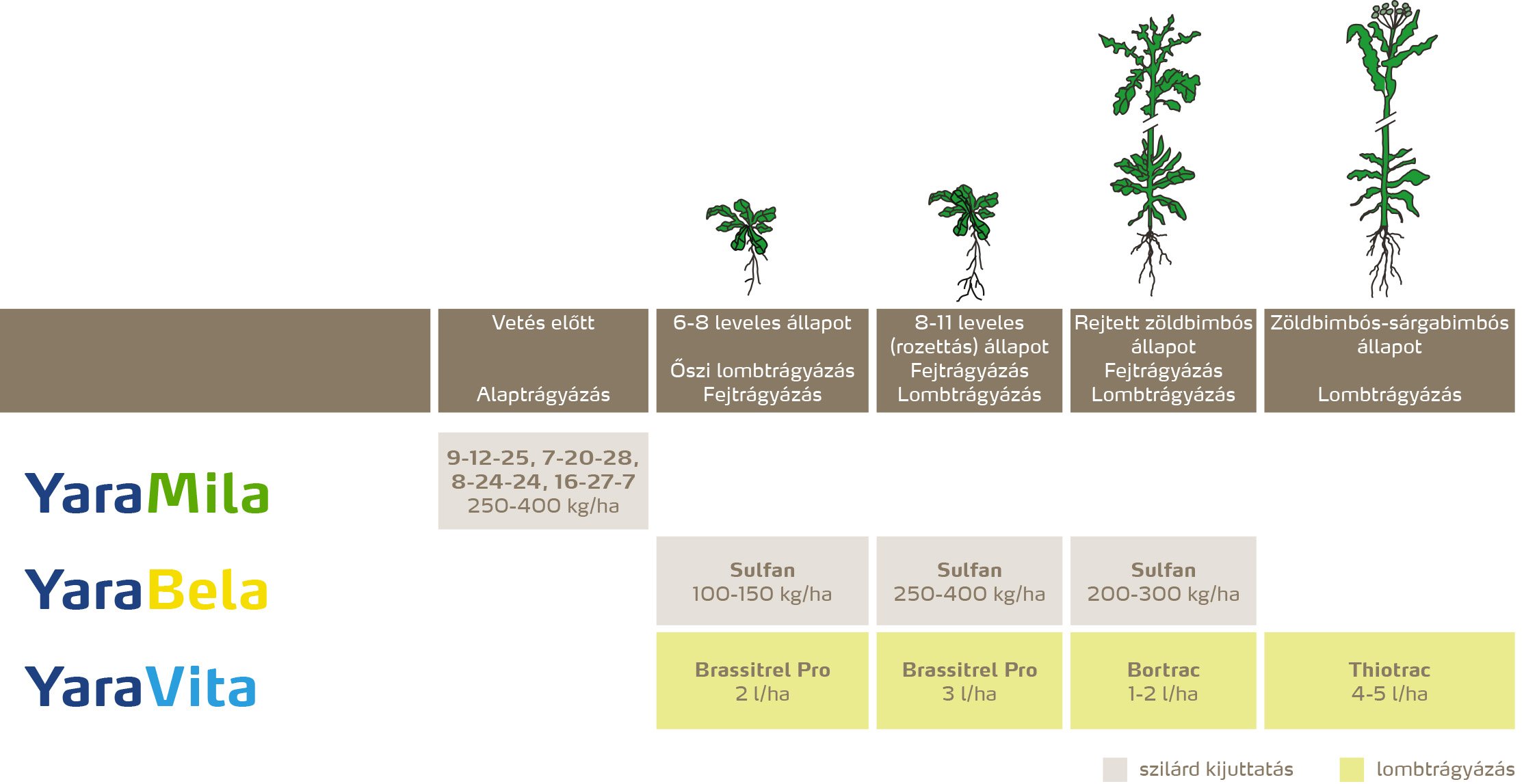 szantofoldi_2020_feno_Őszi k&aacute;posztarepce copy.jpg