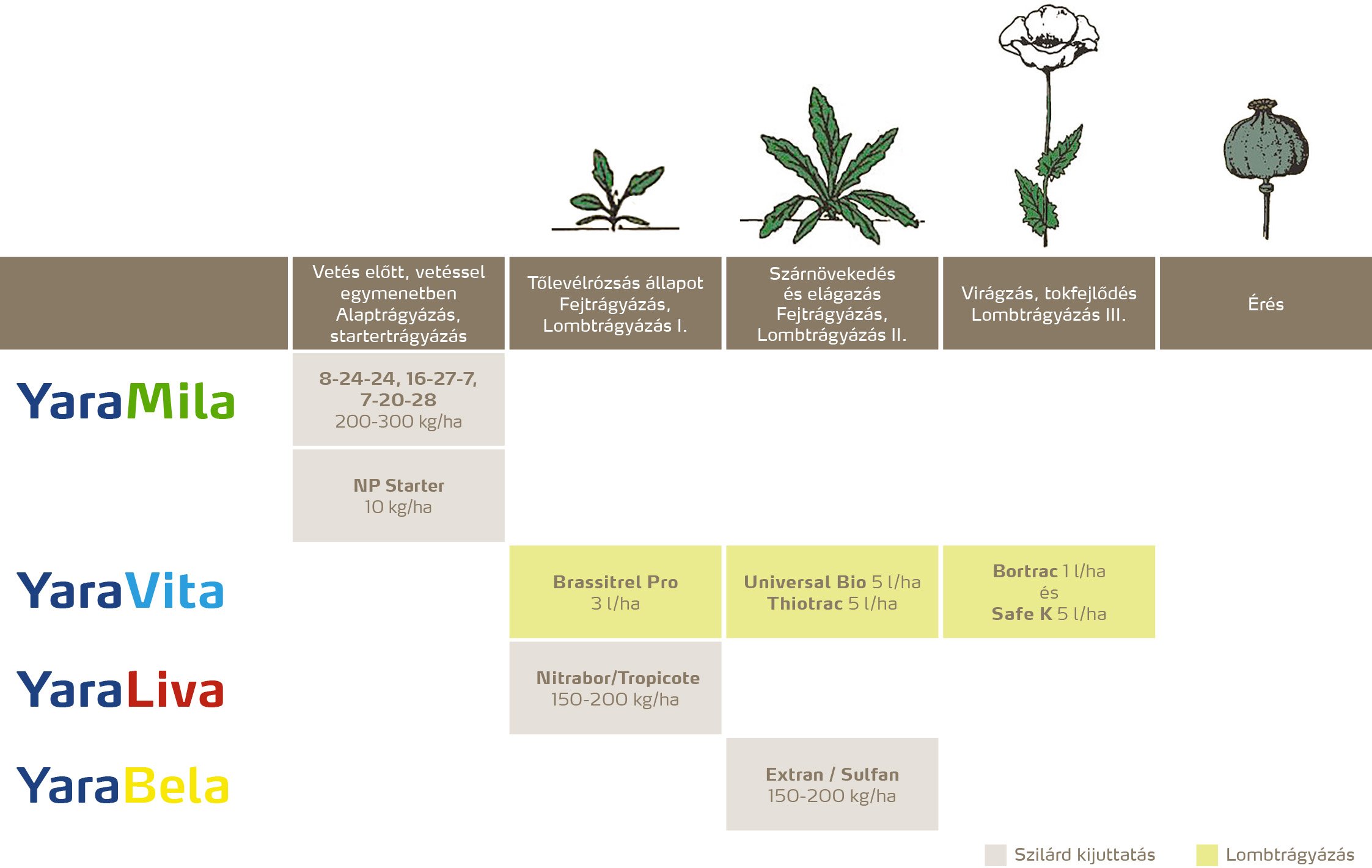 szantofoldi_2020_feno_M&aacute;k copy.jpg