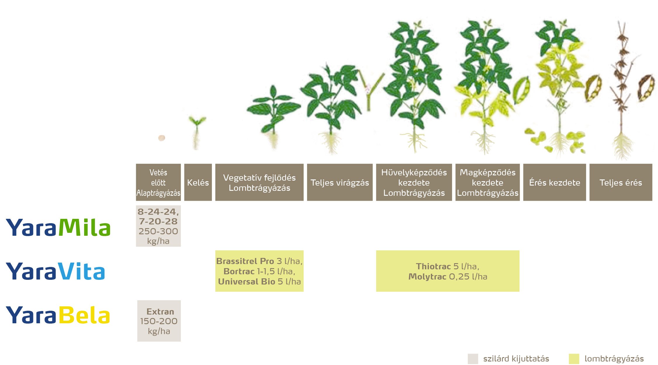 szantofoldi_2020_feno_Sz&oacute;ja copy.jpg