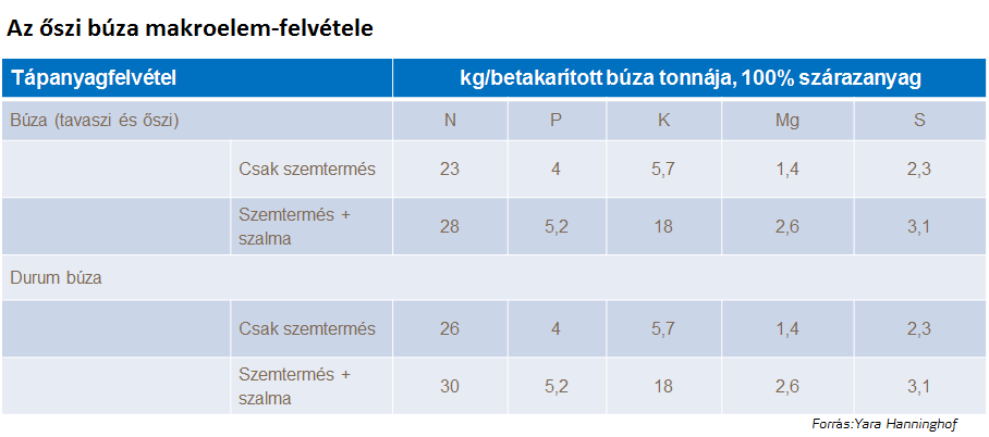 b&uacute;za t&eacute;nyek