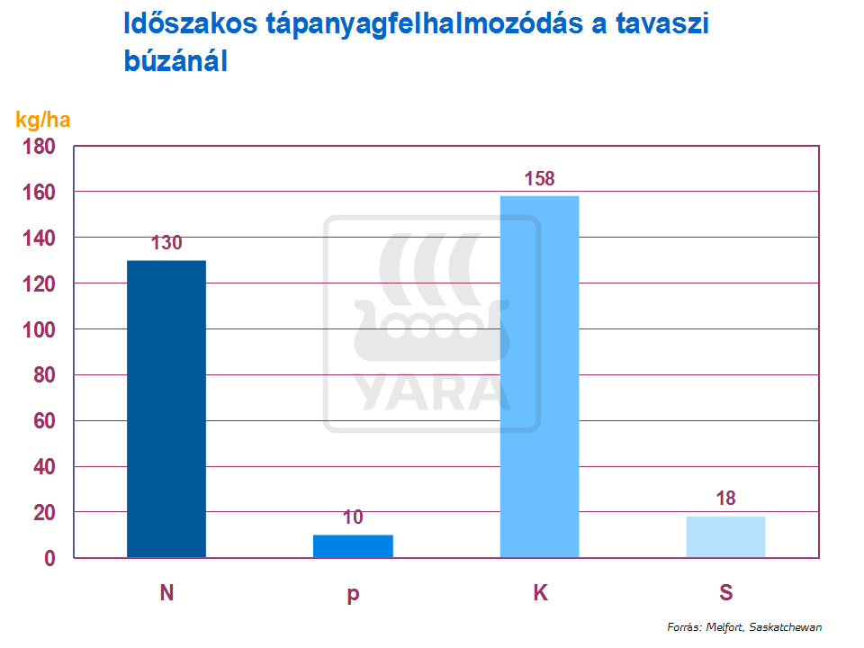 b&uacute;za t&eacute;nyek
