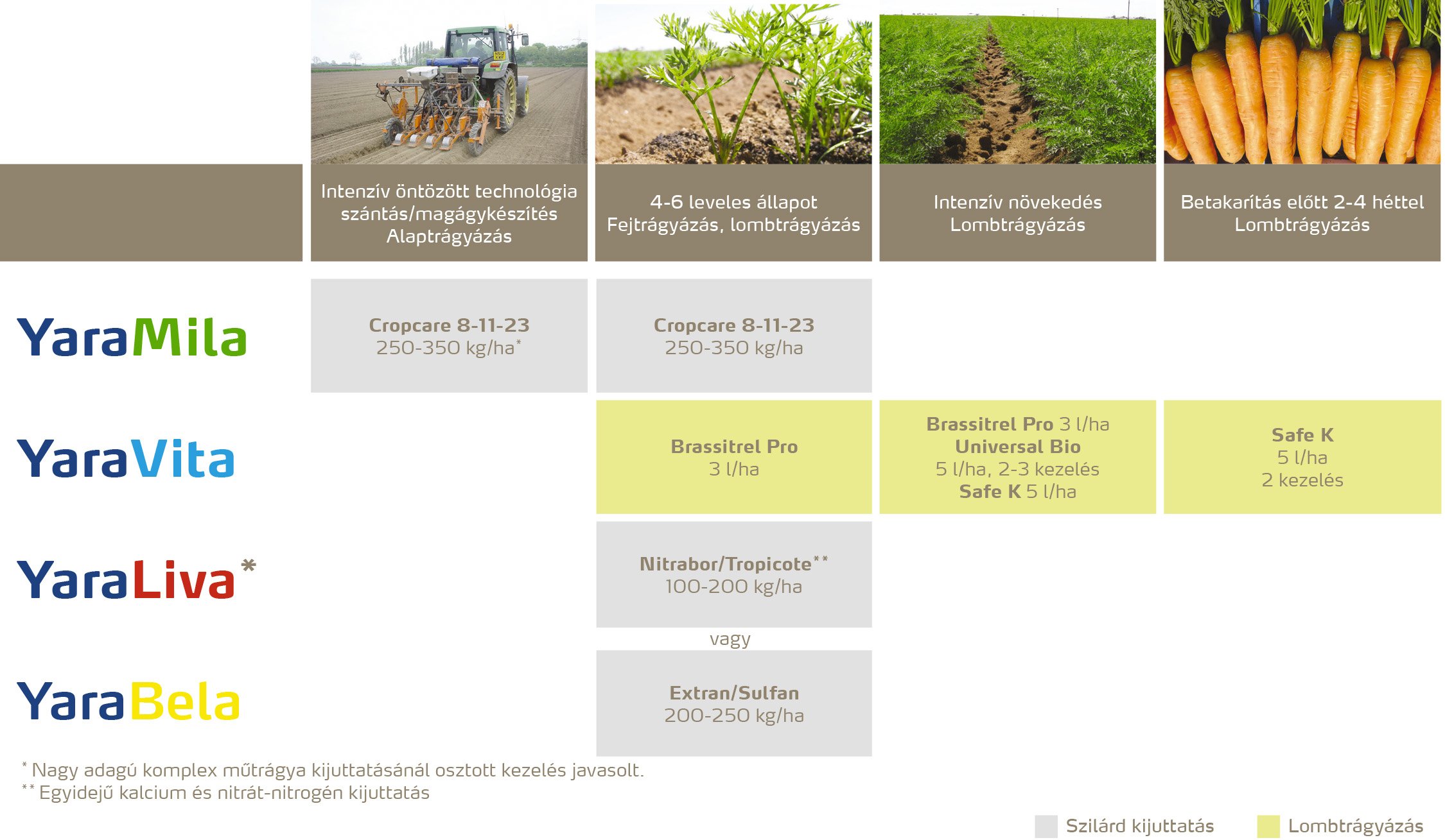 zoldseg_2020_feno_Gy&ouml;k&eacute;rz&ouml;lds&eacute;gek copy.jpg