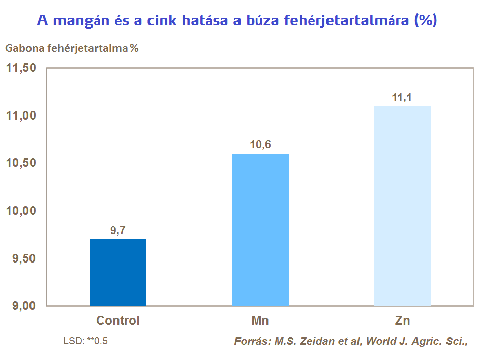 b&uacute;za minős&eacute;g