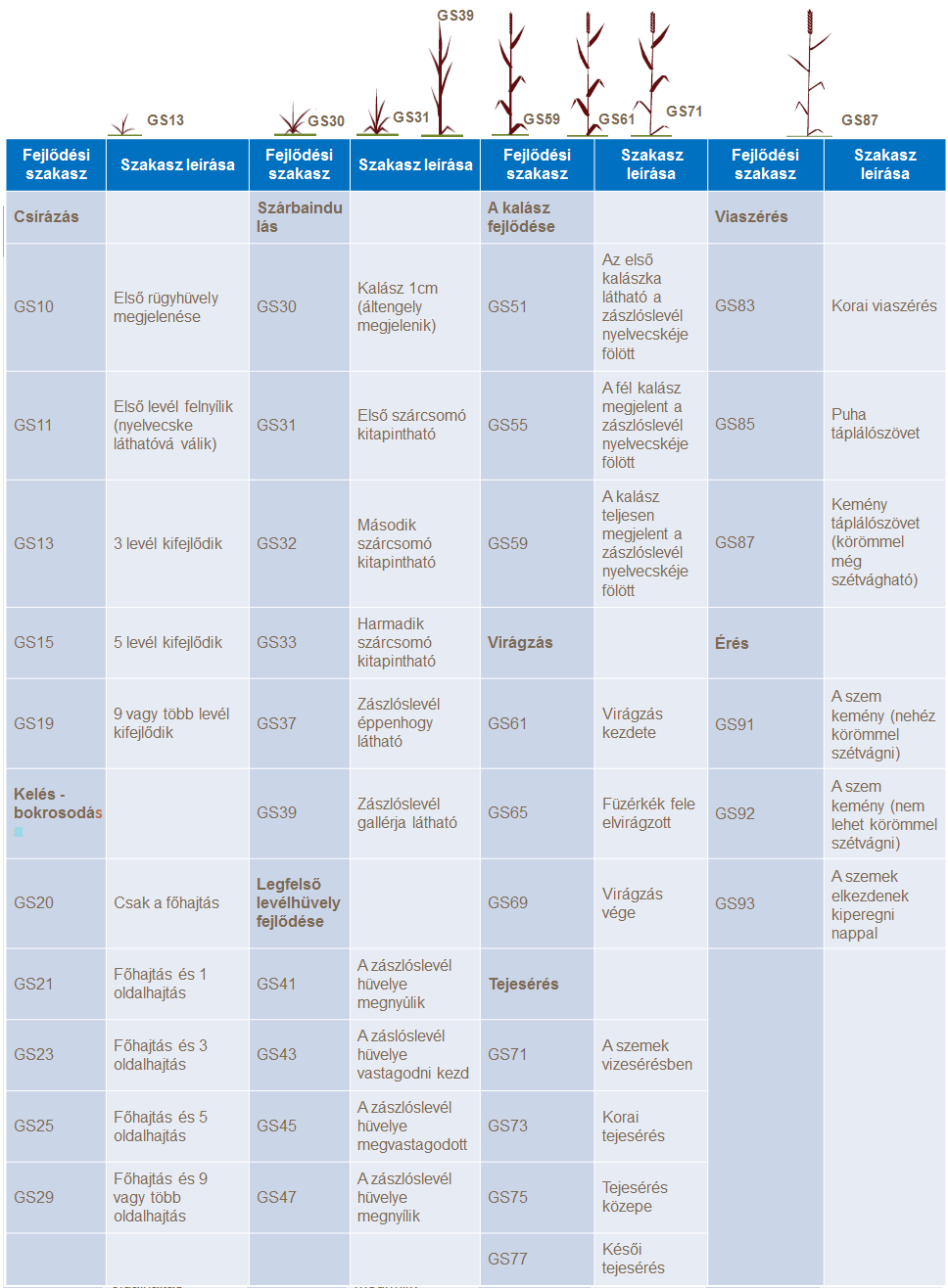b&uacute;za t&eacute;nyek