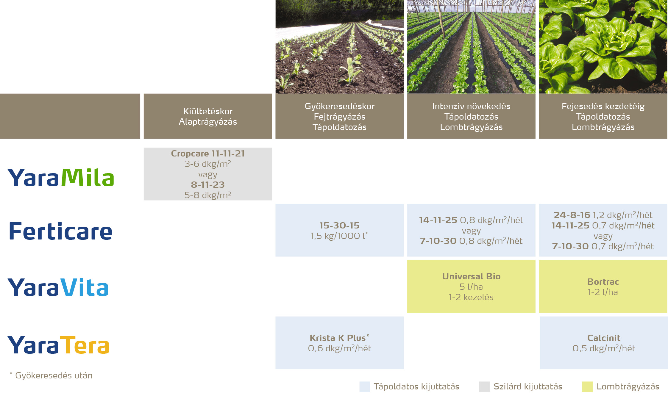 zoldseg_2020_feno_sal&aacute;ta copy.jpg