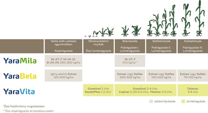 Őszi b&uacute;za feno.jpg