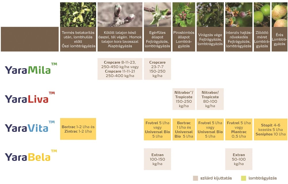 t&eacute;li alma feno.jpg