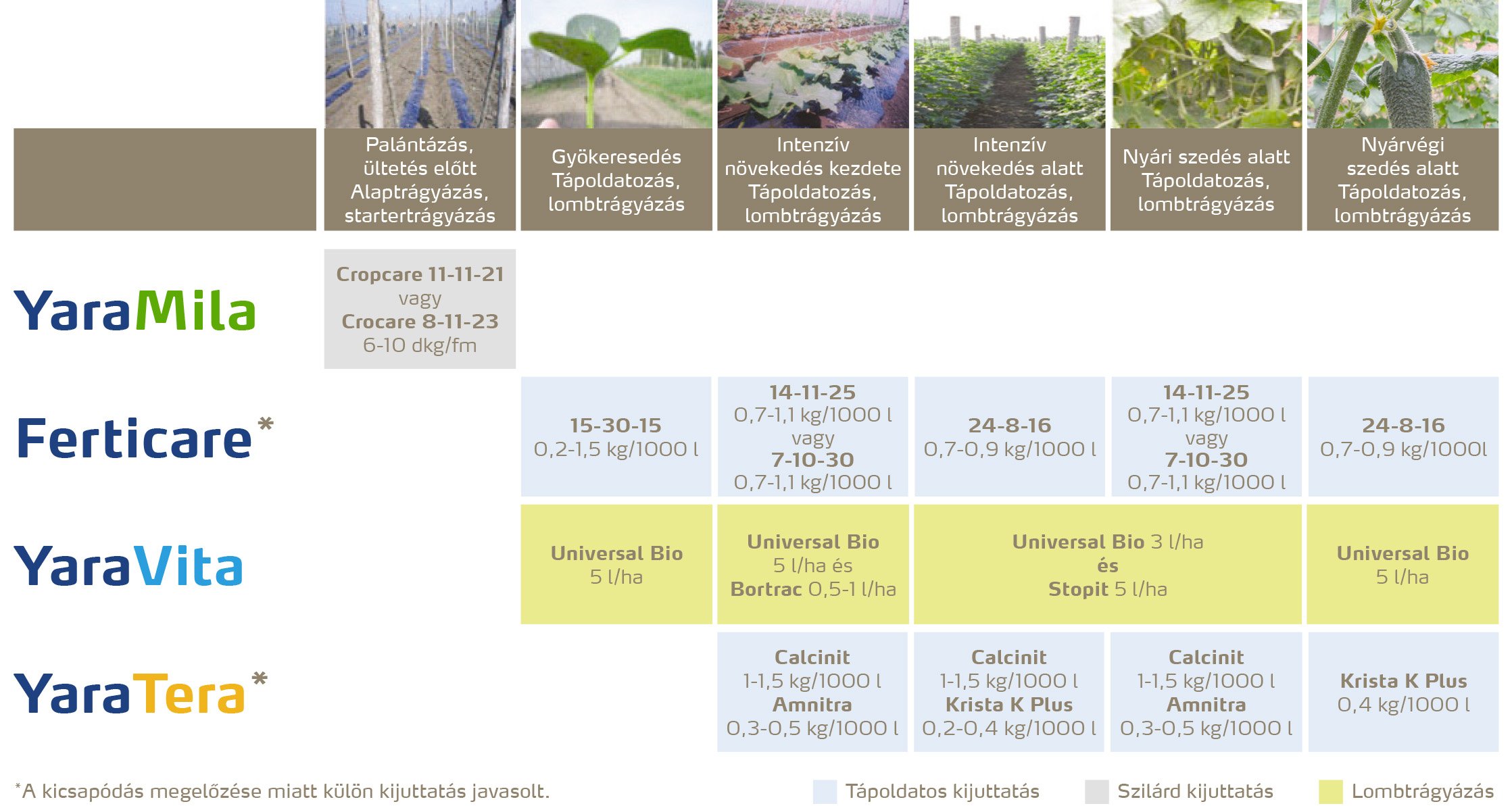 zoldseg_2020_feno_Konzervuborka copy.jpg