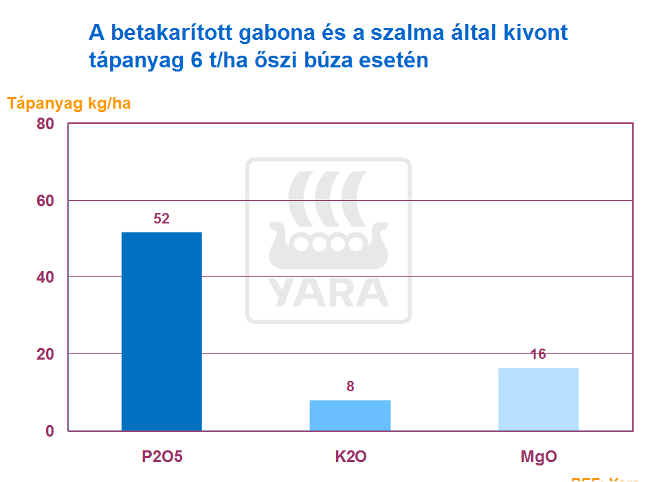 b&uacute;za t&eacute;nyek