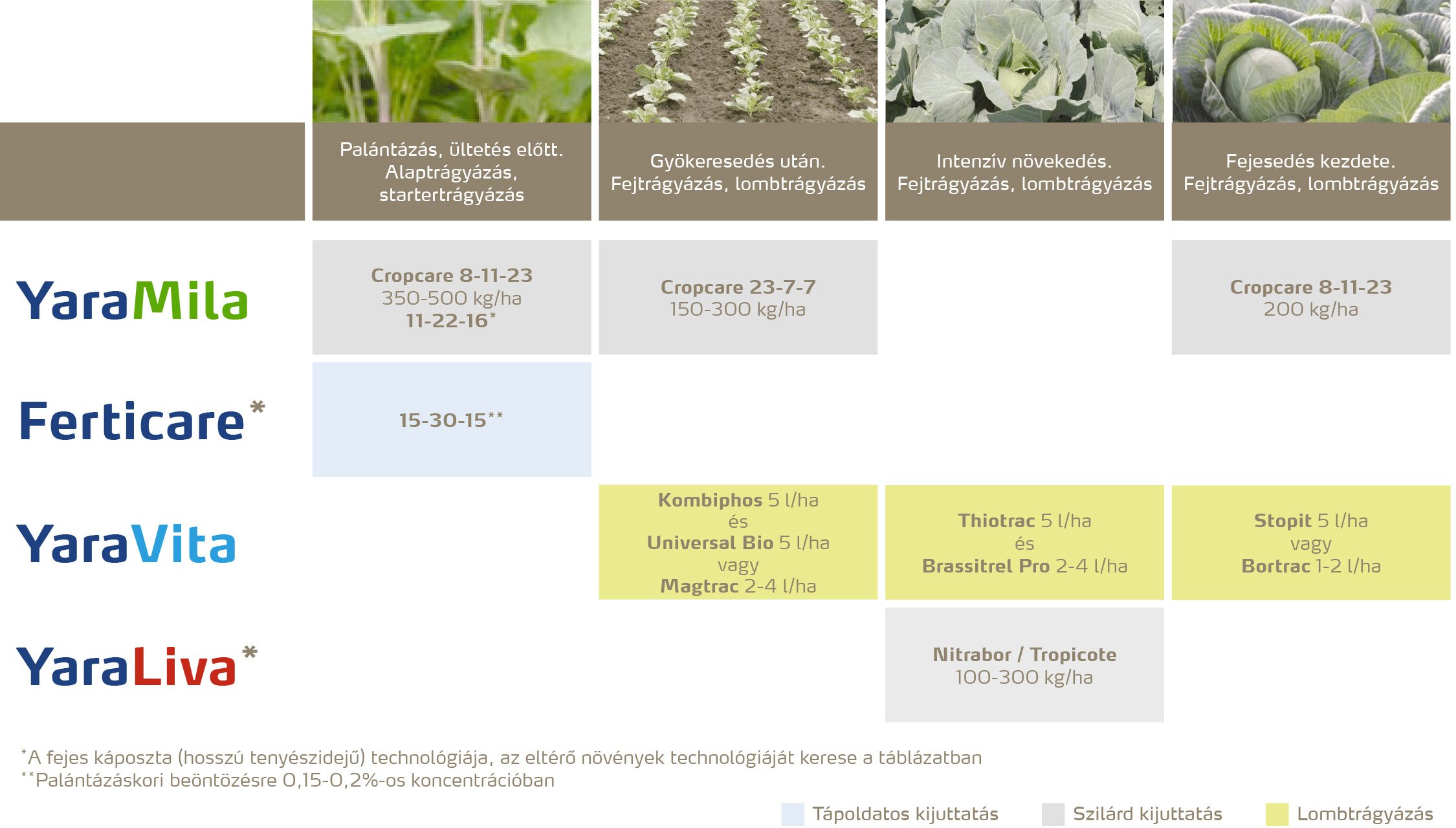 zoldseg_2020_feno_K&aacute;posztaf&eacute;l&eacute;k copy.jpg