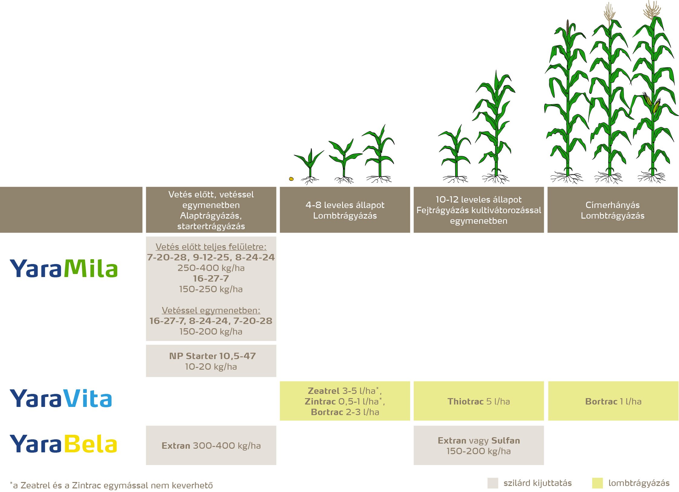 szantofoldi_2020_feno_Kukorica copy.jpg