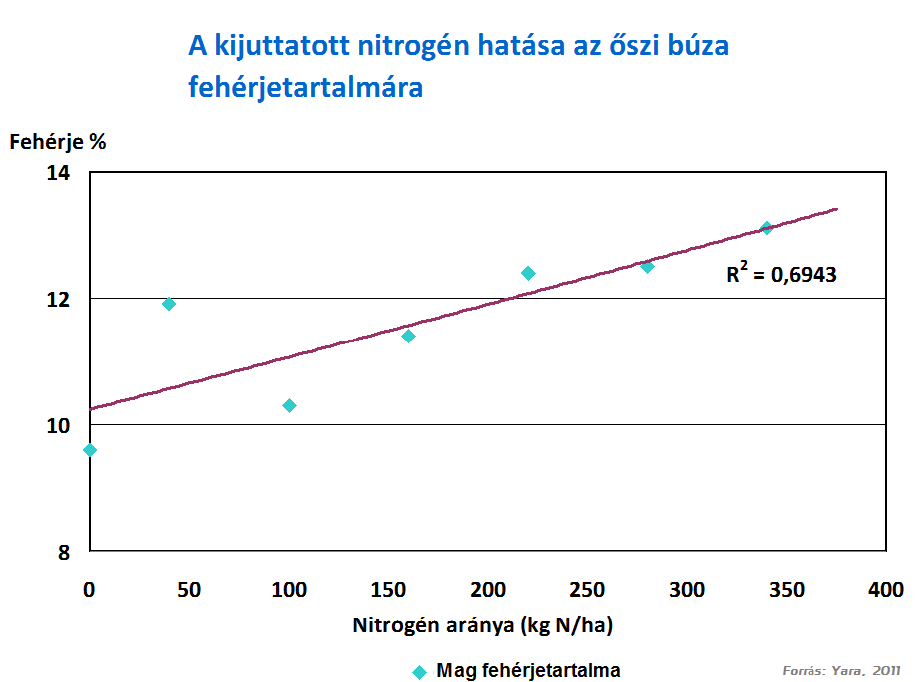 b&uacute;za minős&eacute;g