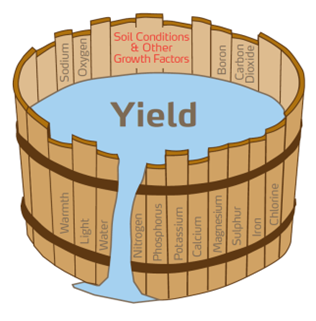 b&uacute;za t&eacute;nyek