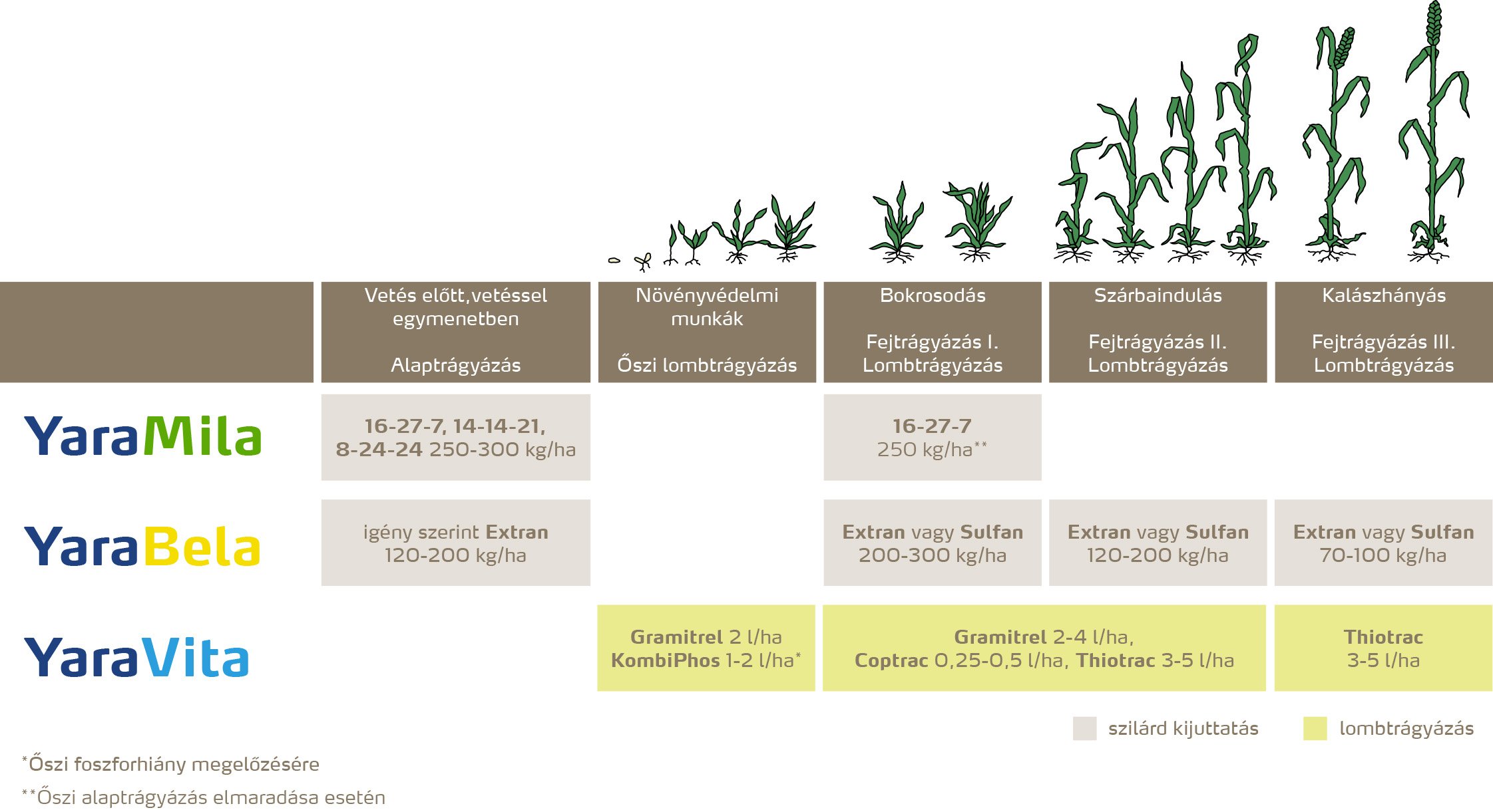 szantofoldi_2020_feno_Őszi b&uacute;za copy.jpg